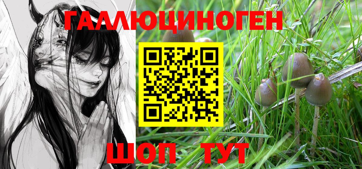 Ачинск  Псилоцибиновые грибы Magic Shrooms  Вход с VPN  Галлюциногенные грибы Cubensis 